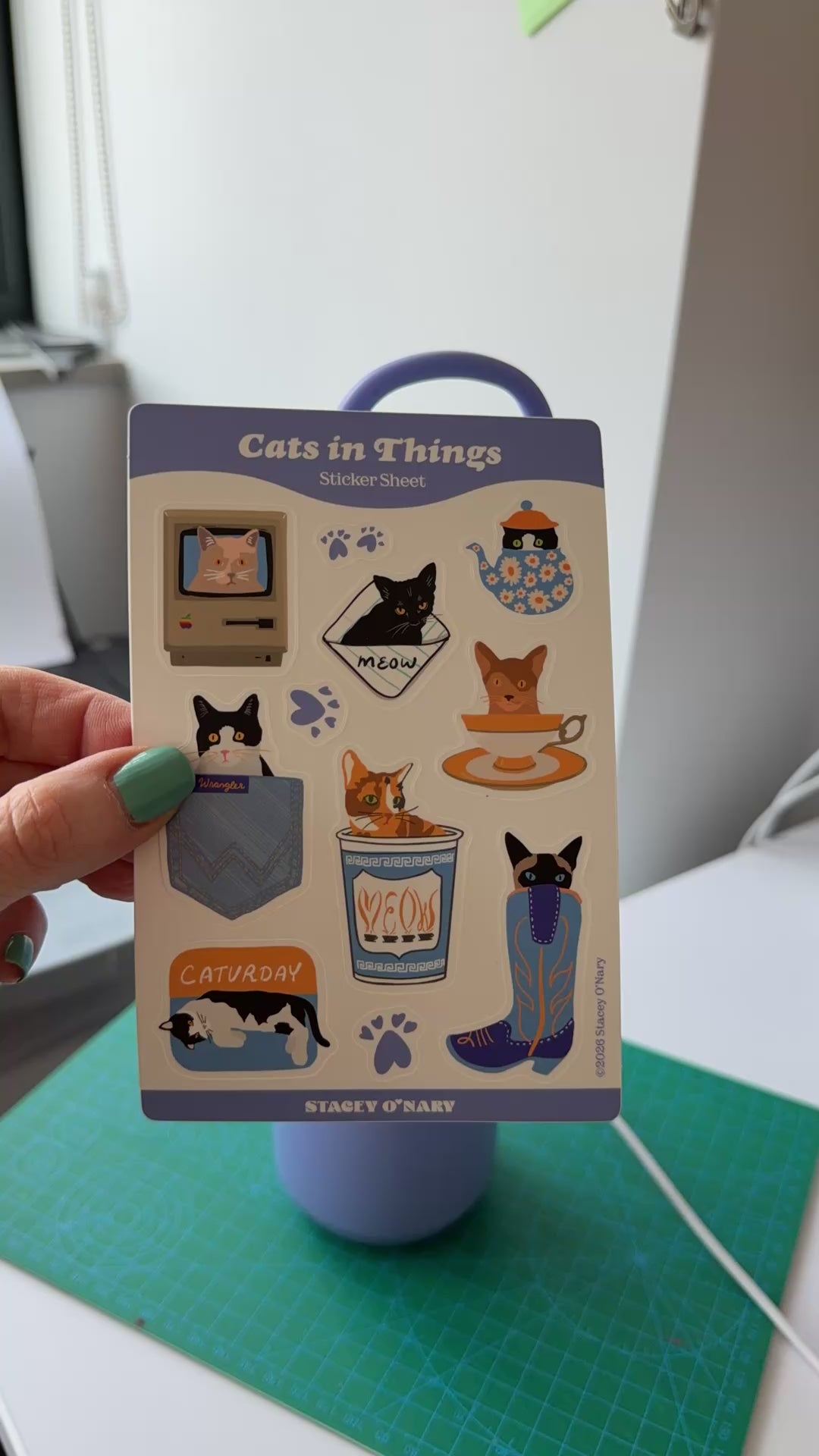 Cats in Things Sticker Sheet